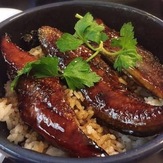 Unagi Don
